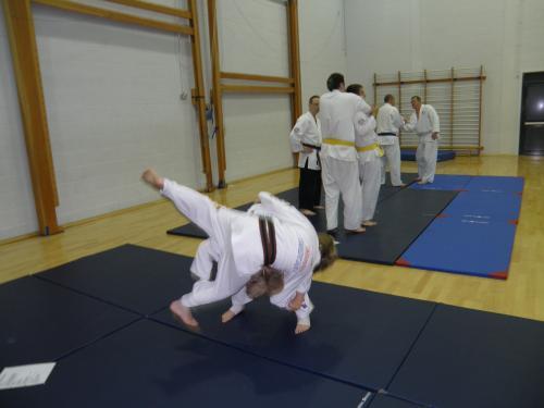 best of Ju-jitsu academy Amateur