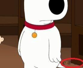 Nova recommendet Family guy stewie hole in the bottom