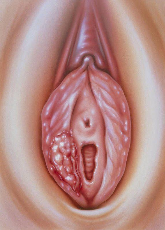 Beautiful vagina art
