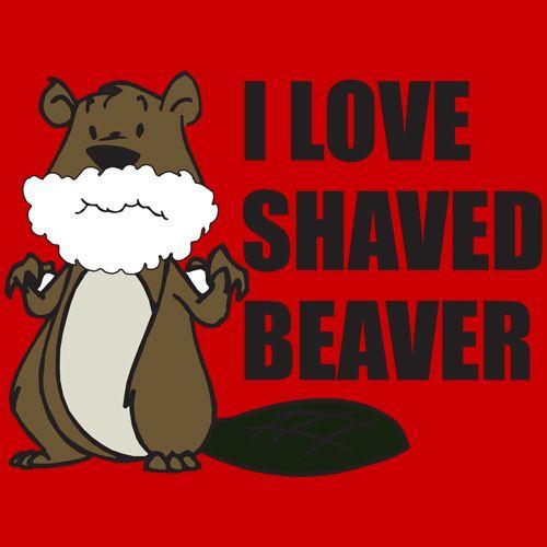 best of Shaved Beaver free pic