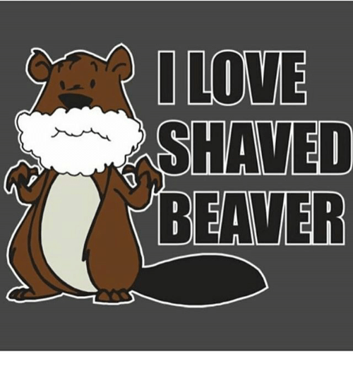 Mo reccomend Beaver free pic shaved