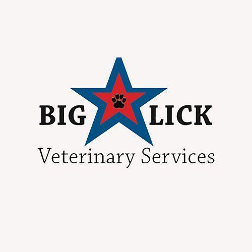 Cake reccomend Big lick veterinary services virginia