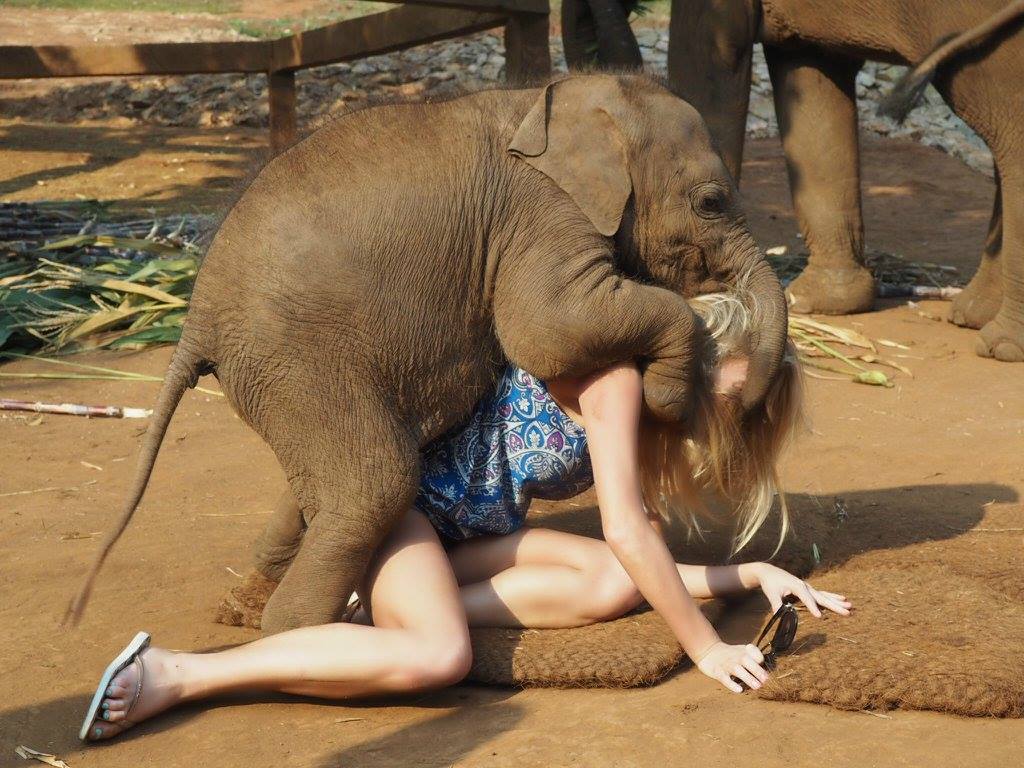 Girl fucking elephant images