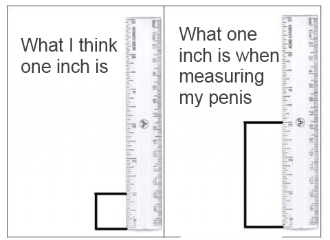 9 inch dick ruler