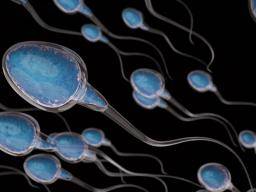 Lifespan of sperm in water