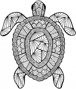 Adult sea turtle coloring pages