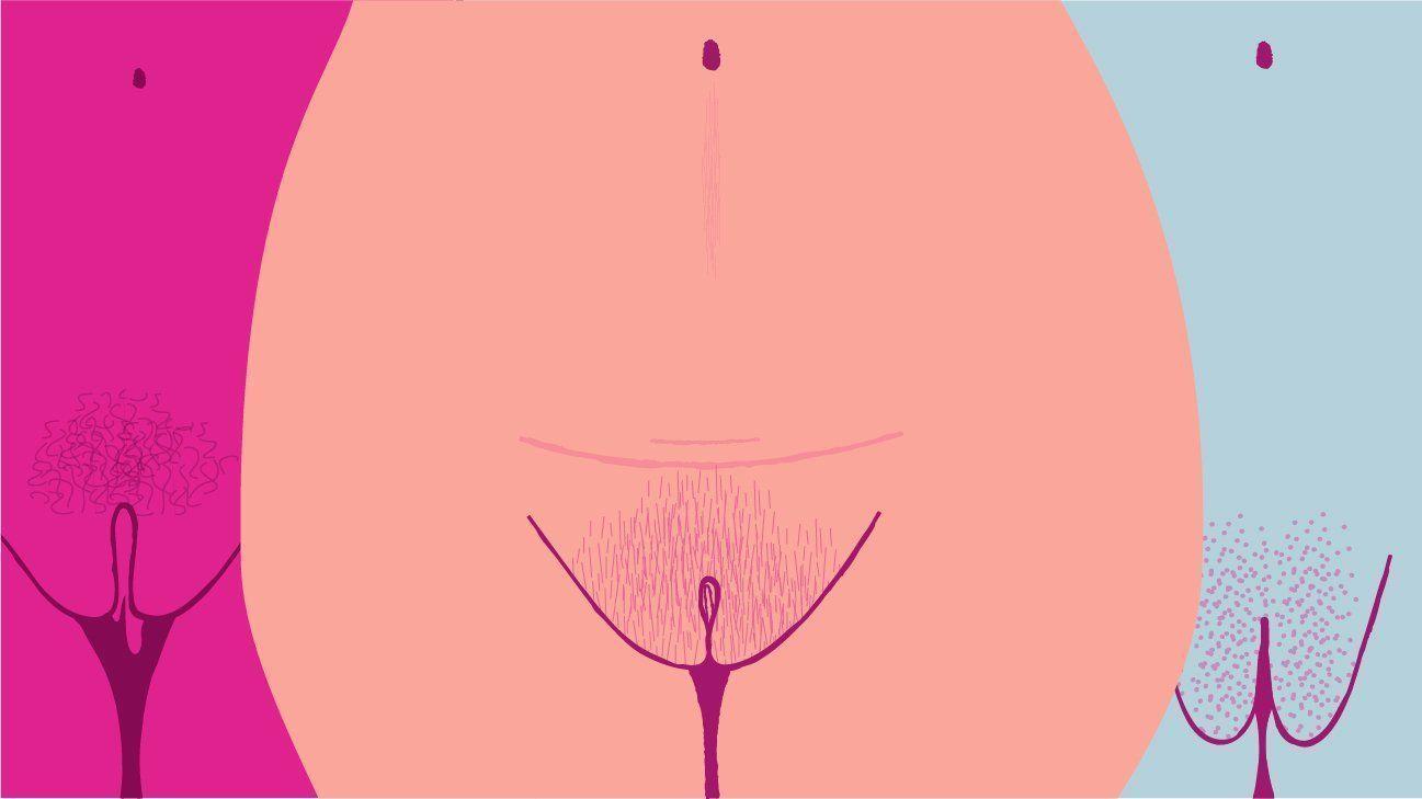 best of Of shape vaginas Different and kind