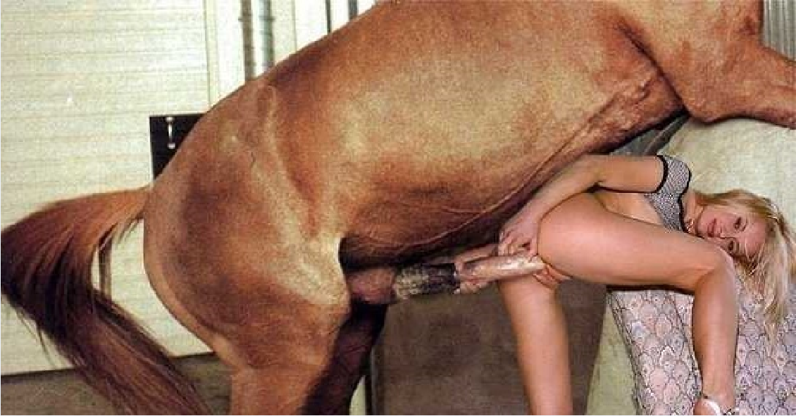 best of Women pictres sex with Donkyes
