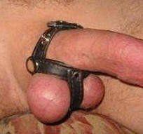 best of Ball strap leather cock Snap