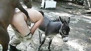 Jet S. recommend best of sex Donkey with woman