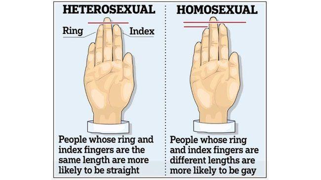 Detective reccomend Ring and index finger length gay