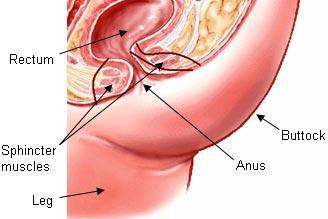 The E. Q. reccomend Leg operation new anus