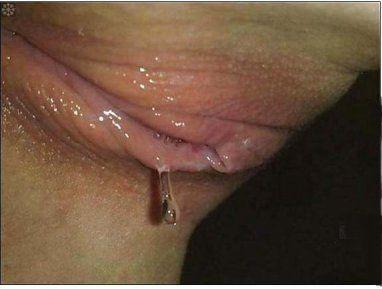Free pic pussy shaved wet