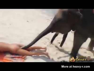 best of Images elephant Girl fucking
