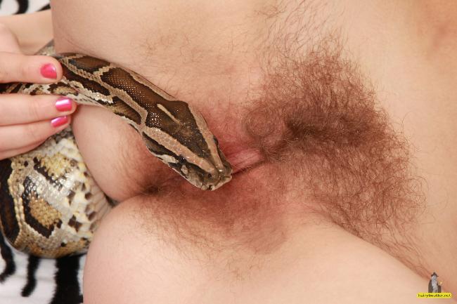 Girls putting snake in pussy