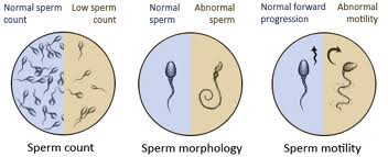 best of Do they test count How sperm