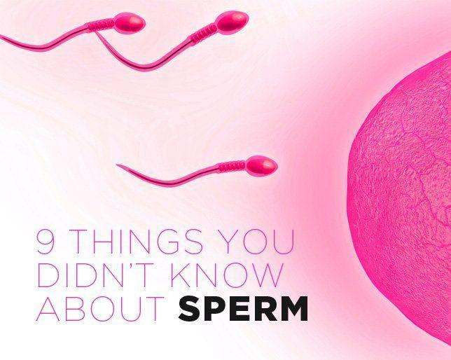best of Facts sperm far How can travel
