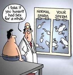 best of Long are sperm alive How