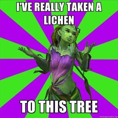 Lichen jokes