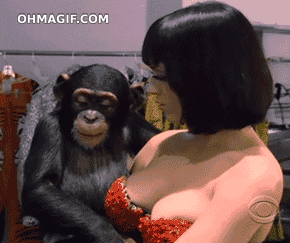 Jupiter reccomend Monkey touches boob