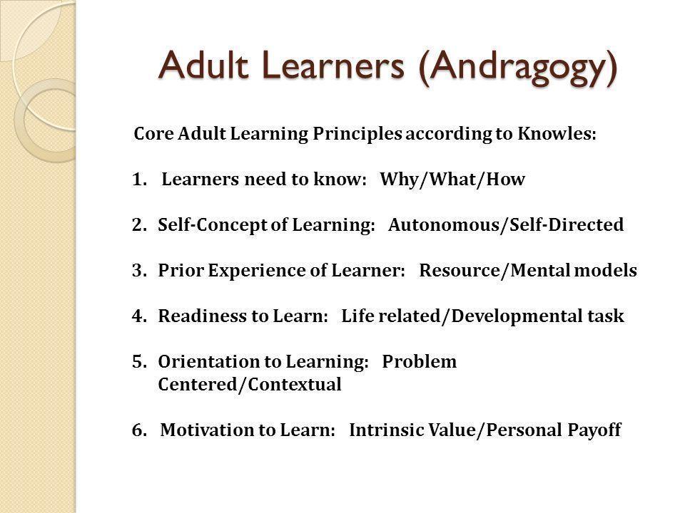 Goldilocks reccomend Theory of adult learning styles