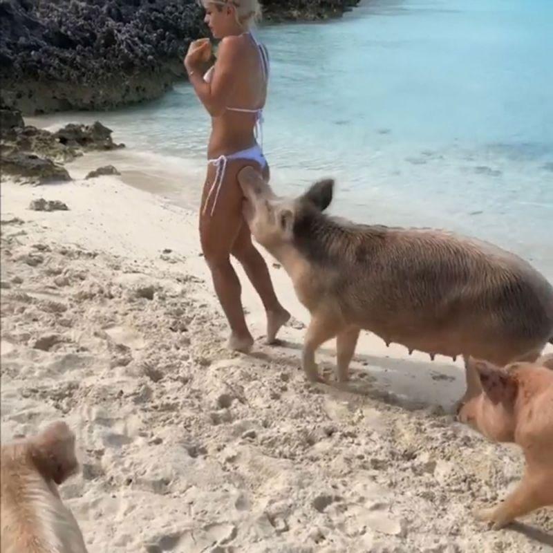 Wild hogs full sex scene video